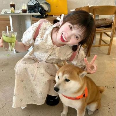 黑箱日志