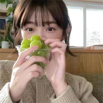 树篱女巫